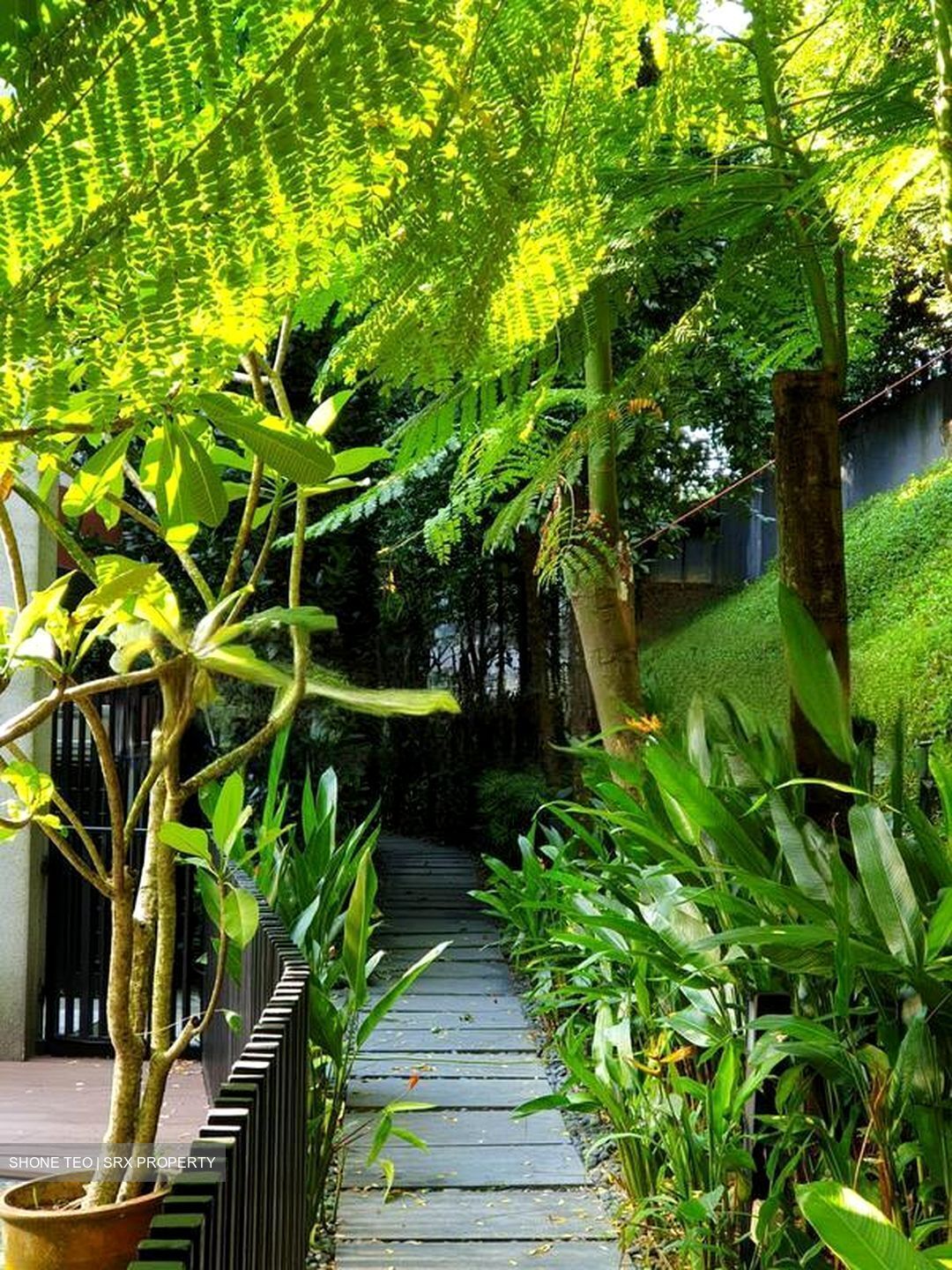 Leedon Park (D10), Terrace #455673471
